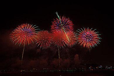 《黎明行者之血》的开放世界规模将小于业界常规标准